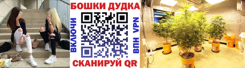 Наркошоп купить КОКАИН  Альфа ПВП  Амфетамин  МЕФ  Гашиш  Лебедянь