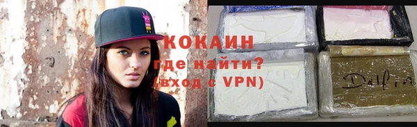 ешки Ельня
