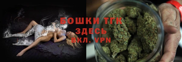 ешки Ельня