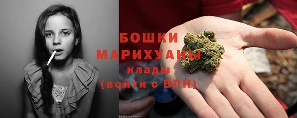ALPHA-PVP Елизово