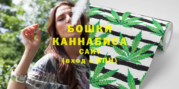 ешки Ельня