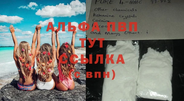 ешки Ельня