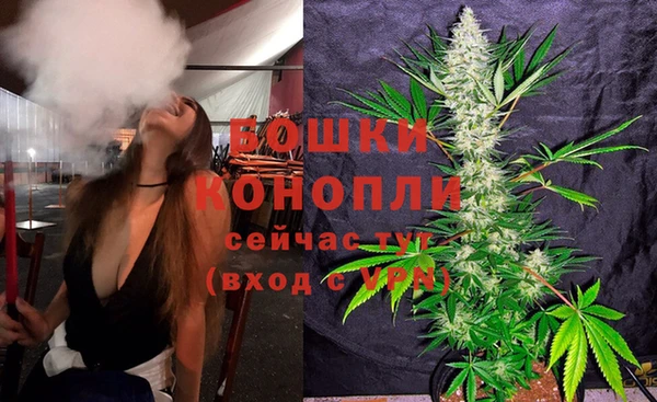 ешки Ельня