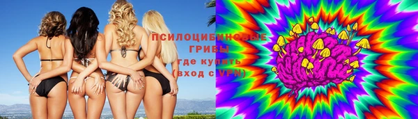 ешки Ельня