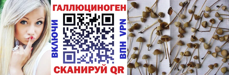 Псилоцибиновые грибы мухоморы  Купить закладки  Лебедянь 