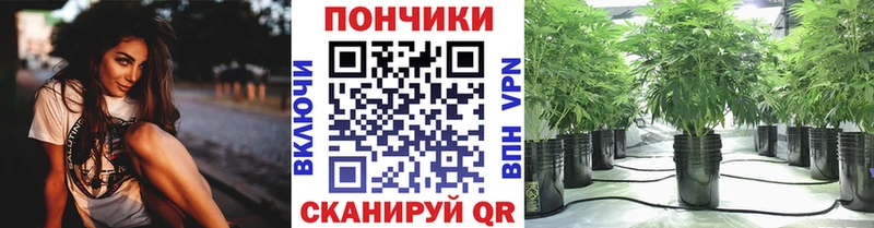 Купить закладки  Лебедянь  Конопля гибрид 